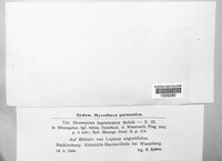 Image Associated With the Occurence